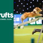 Can You Take Your Dog to Crufts