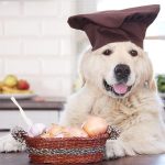 Do Japanese Eat Dogs