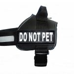 Do Not Pet Dog Vest