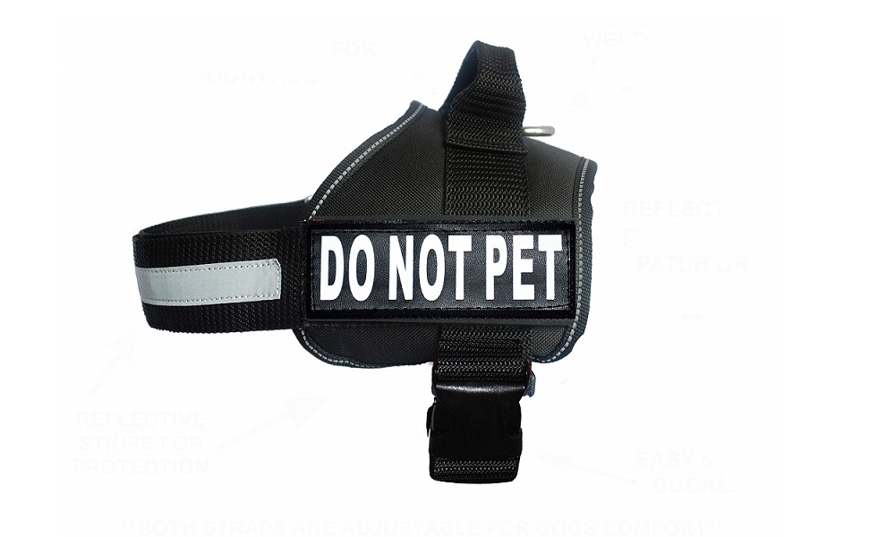 Do Not Pet Dog Vest