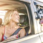 How to Keep Car Cool for Dog