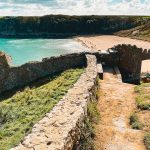 Is Barafundle Bay Dog Friendly