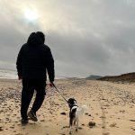 Is Mudeford Beach Dog Friendly