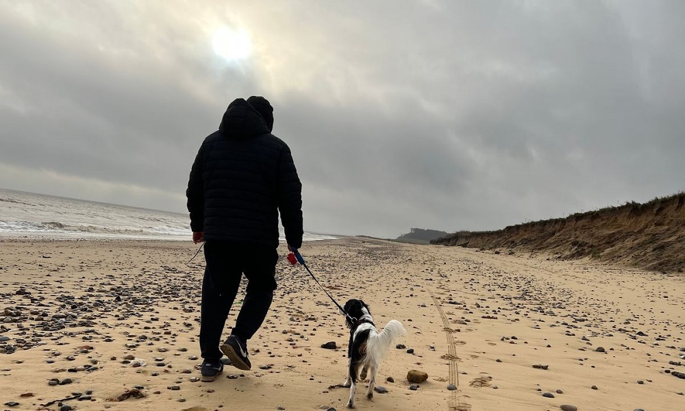 Is Mudeford Beach Dog Friendly