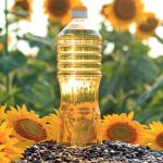 Is Sunflower Oil Good for Dogs