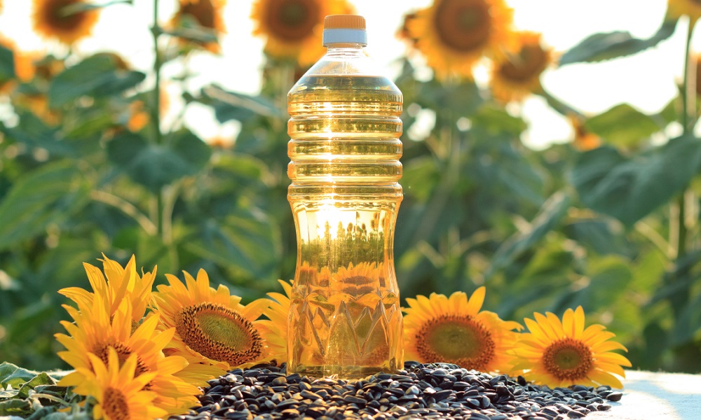 Is Sunflower Oil Good for Dogs