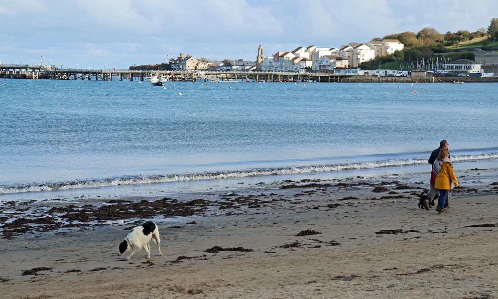 Is Swanage Beach Dog Friendly