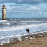 Is Talacre Beach Dog Friendly