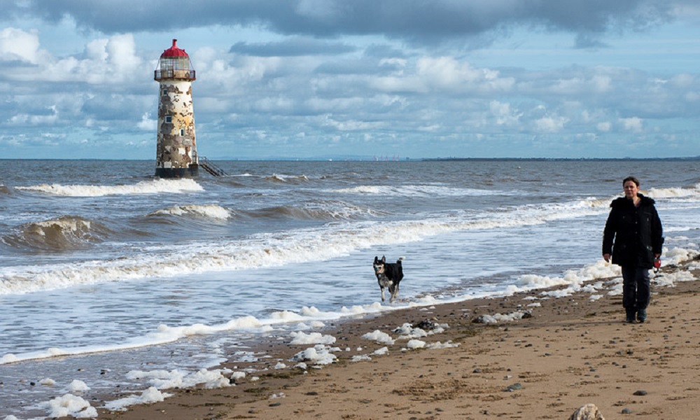 Is Talacre Beach Dog Friendly