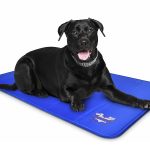 Is the Gel in Dog Cooling Mats Toxic
