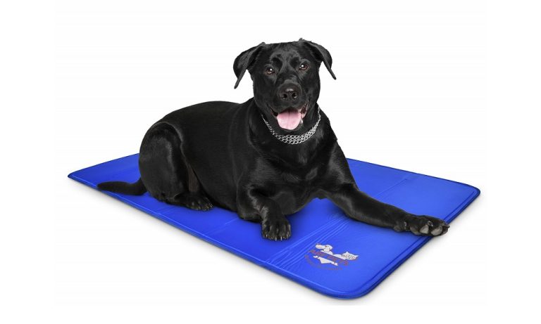 is-the-gel-in-dog-cooling-mats-toxic-pet-help-reviews-uk