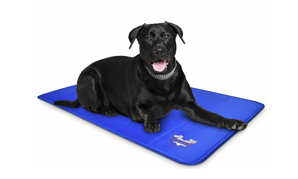 Is the Gel in Dog Cooling Mats Toxic