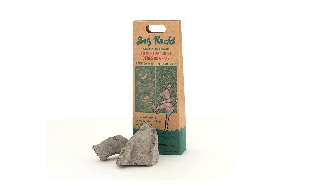 What Do Vets Think of Dog Rocks? – Pet Help Reviews UK