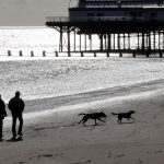 When Can Dogs Go on Cleethorpes Beach