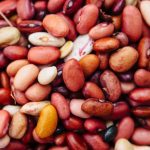 Are Beans Good for Dogs