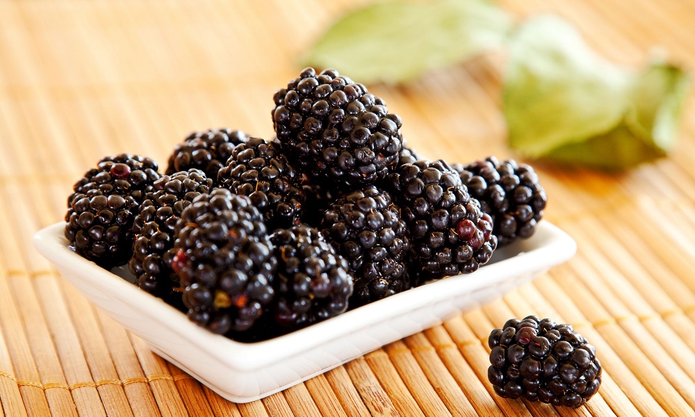 Are Blackberries Bad for Dogs