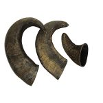 Are Bull Horns Good for Dogs