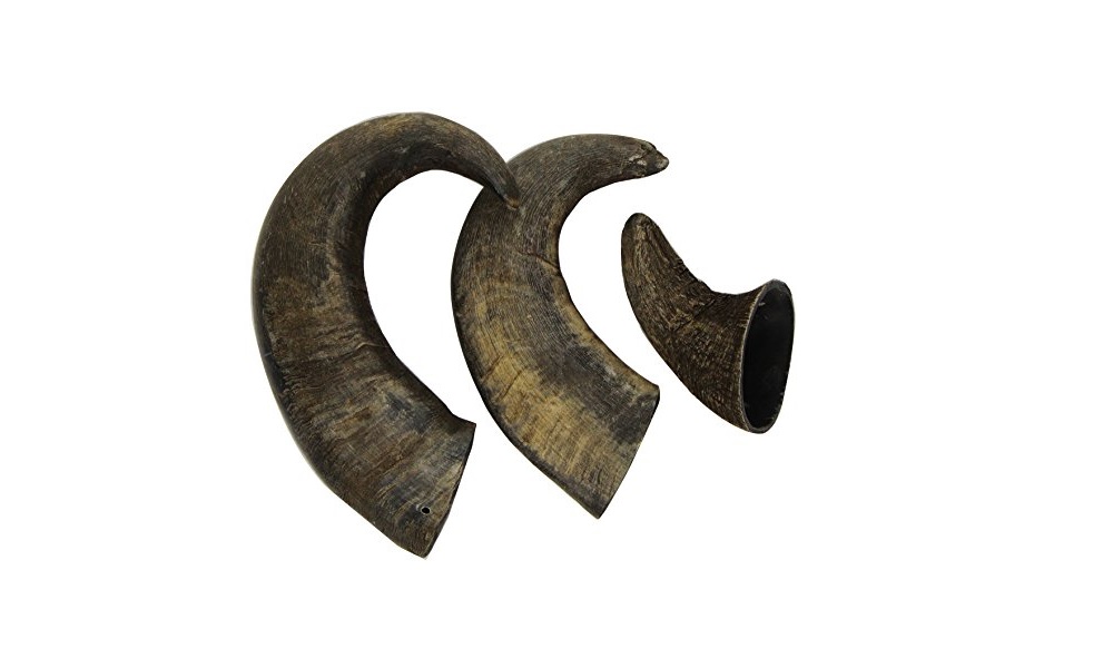 Are Bull Horns Good for Dogs