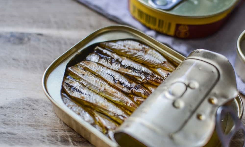 Are Canned Sardines Good for Dogs