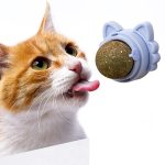 Are Catnip Toys Safe for Dogs