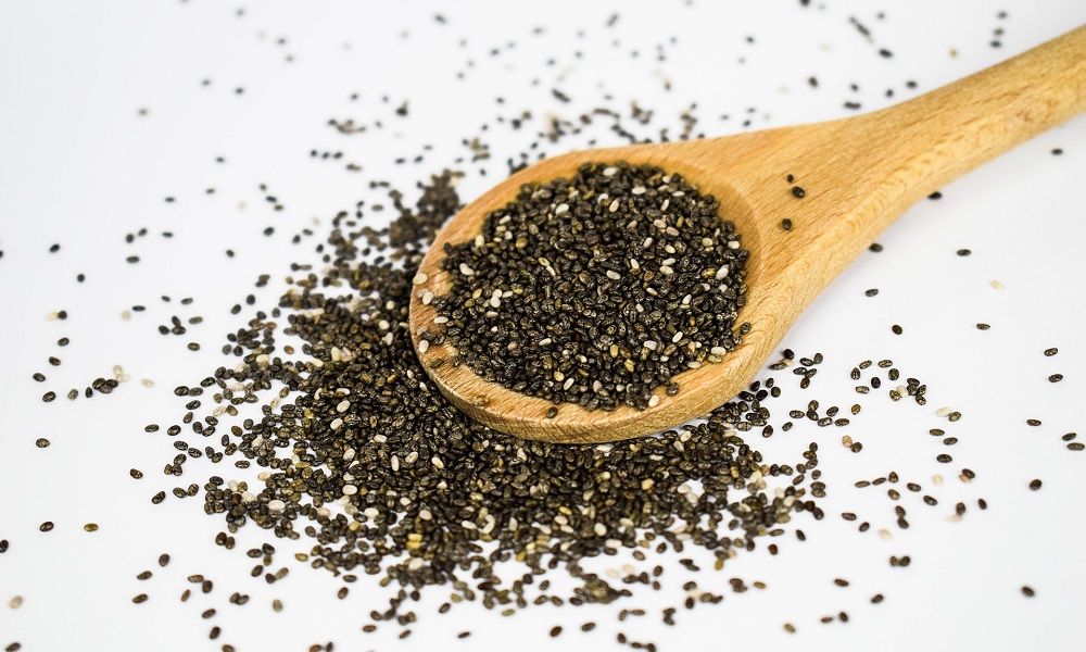 Are Chia Seeds Good for Dogs