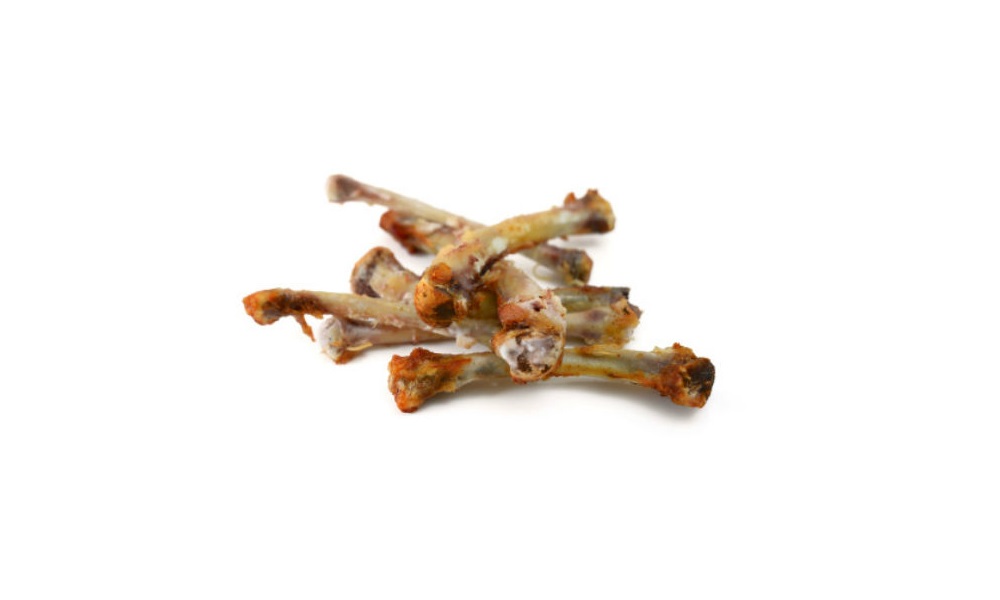 Are Chicken Bones Bad for Dogs