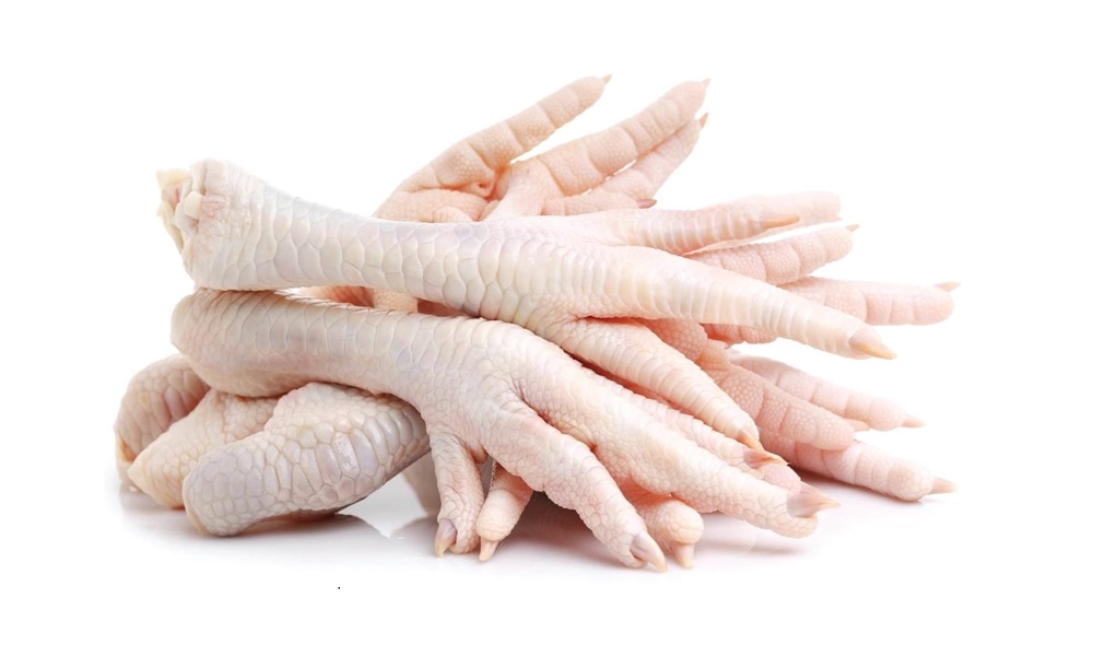 Are Chicken Feet Good for Dogs