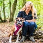 Are Conifers Poisonous to Dogs Uk
