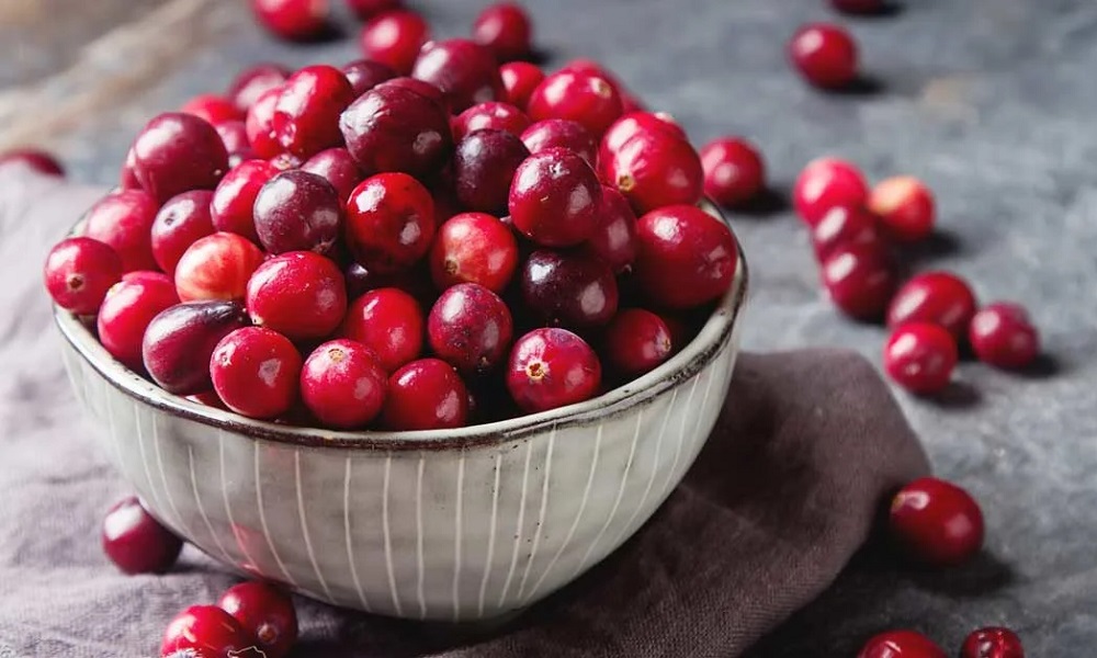 Are Cranberries Ok for Dogs