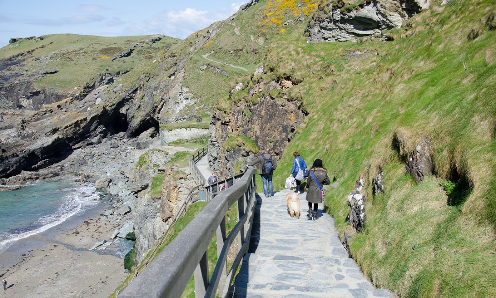 Are Dogs Allowed at Tintagel Castle