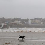 Are Dogs Allowed on Bridlington Beach