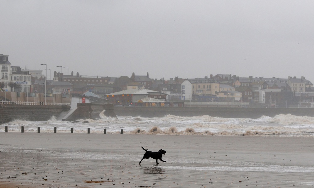 Are Dogs Allowed on Bridlington Beach