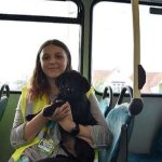 Are Dogs Allowed on Buses Arriva