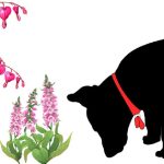 Are Dogs Attracted to Foxglove