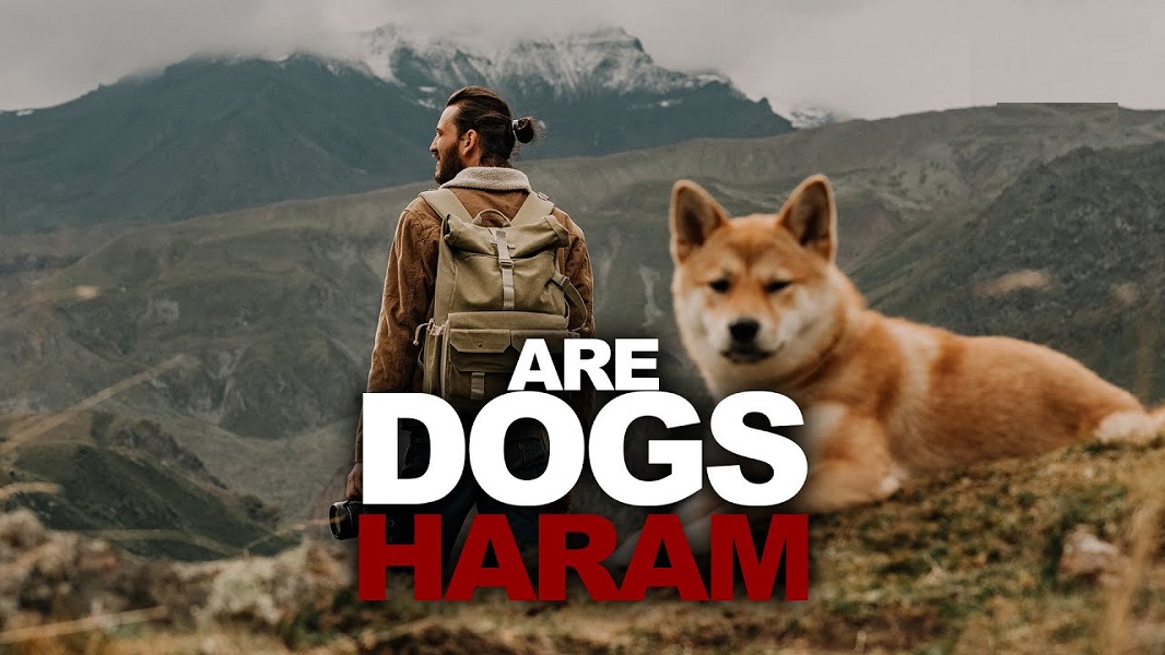 Are Dogs Haram? Pet Help Reviews UK