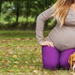 Are Dogs Protective of Pregnant Owners