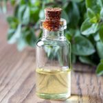 Are Essential Oils Safe for Dogs to Smell