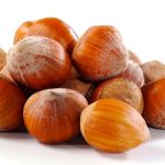 Are Hazelnuts Bad for Dogs