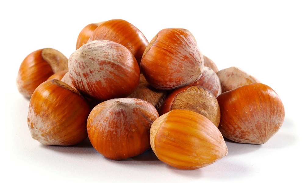 Are Hazelnuts Bad for Dogs