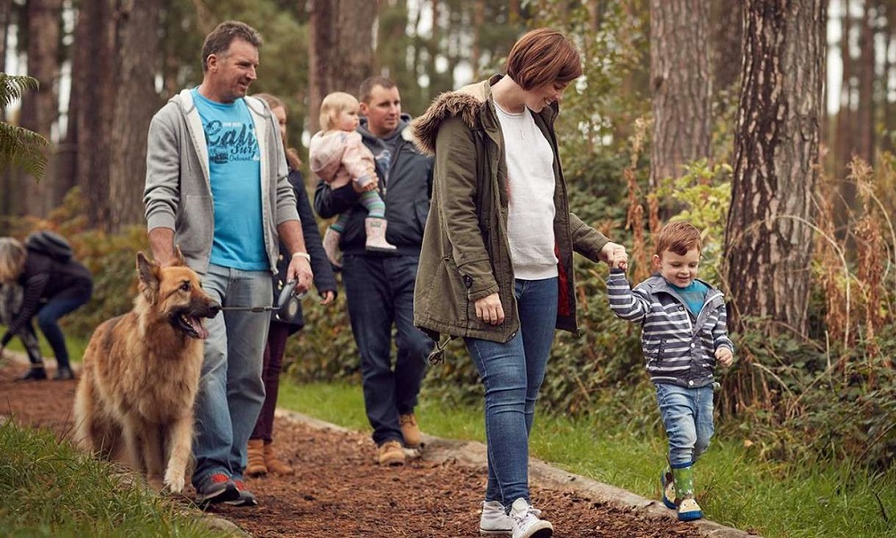 Can You Take Dogs to Centre Parcs