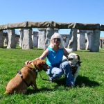 Can You Take Dogs to Stonehenge