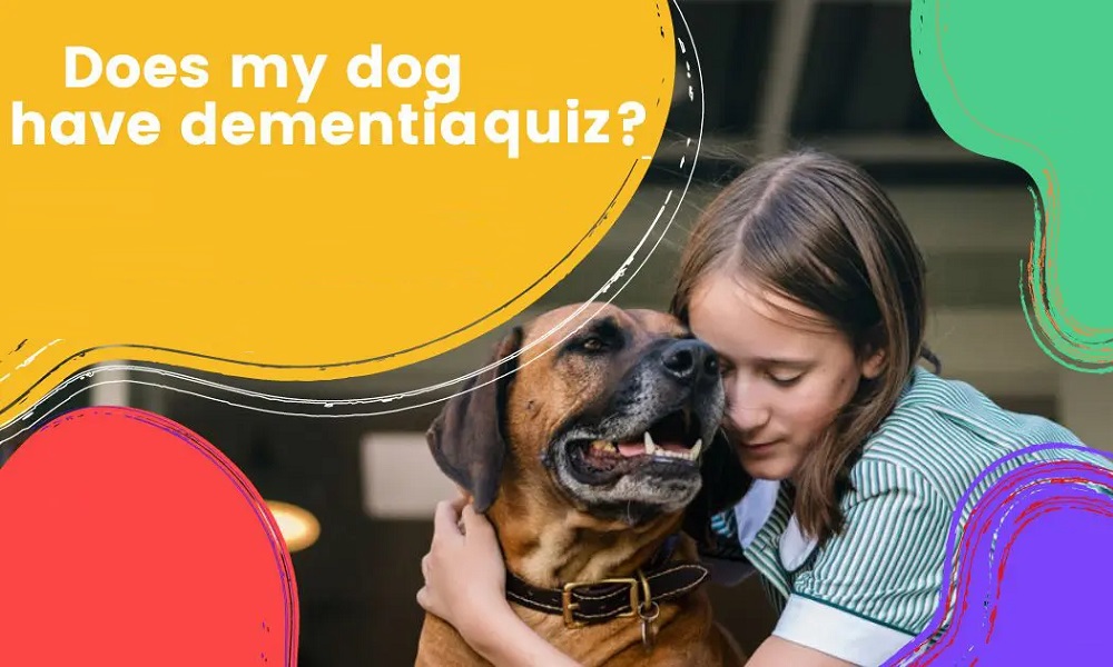 Does My Dog Have Dementia Quiz