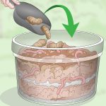 How to Dispose of Dog Poo at Home Uk