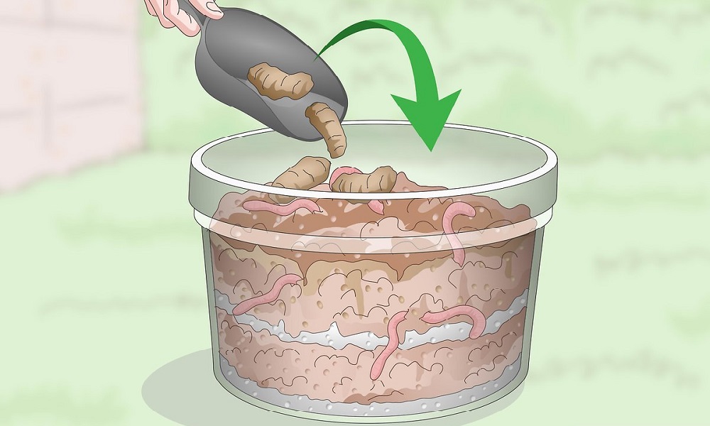 How to Dispose of Dog Poo at Home Uk