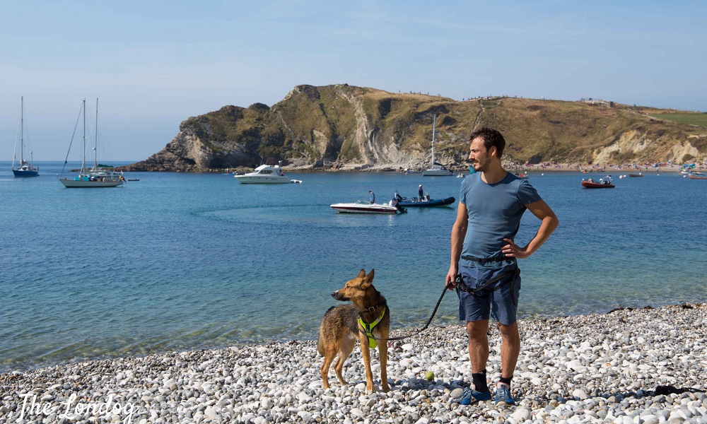 Is Durdle Door Dog Friendly