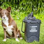 What Bin Does Dog Poo Go in Uk