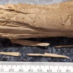 What Wood is Safe for Dogs to Chew