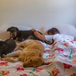 Why Do Dogs Sleep With Their Bum Facing You