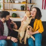 Why Does My Dog Protect Me from My Husband