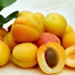 Are Dogs Allowed Apricots